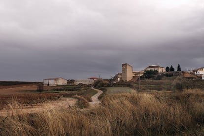 La nueva sede del Consejo Regulador de la Ribera del Duero cuenta con 3.012 metros cuadrados útiles y una integración tanto en el paisaje circundante como en el entorno urbano de Roa, otro de los propósitos iniciales del proyecto de los arquitectos Fabrizio Barozzi y Alberto Veiga.