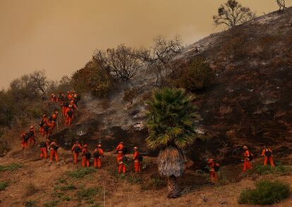 Bomberos presos luchan contra el fuego el 11 de enero en Los Ángeles, California.