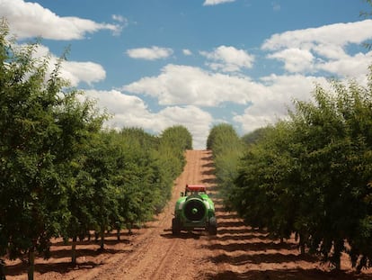 Un atomizador inteligente de Pulverizadores Fede atraviesa un cultivo de almendros en Albacete.