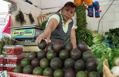 El aguacate, una fruta básica en la dieta mexicana, ha sido uno de los productos que más se han encarecido.