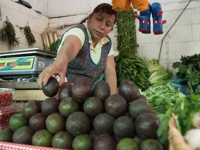 El aguacate, una fruta b&aacute;sica en la dieta mexicana, ha sido uno de los productos que m&aacute;s se han encarecido.