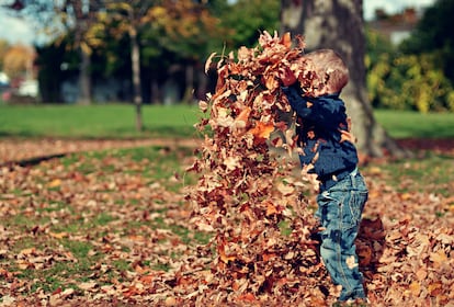 Un niño juega con las hojas en otoño.