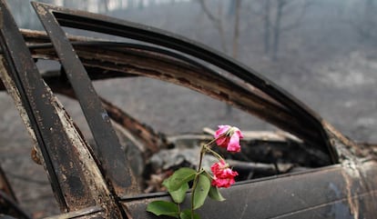 Uma flor em memória às pessoas que morreram neste carro em Nodeirinho.