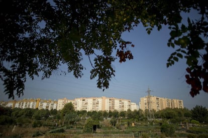 Vista general del las viviendas de Miraflores y sus huertos urbanos en Sevilla.