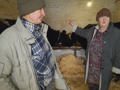 Gregori y Liudmila Vovk, en el interior de su establo, en Zagaltsi (Ucrania), el lunes.