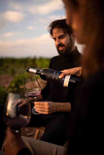 Elaborado en los viñedos de Pago del Cielo (Ribera del Duero), Celeste Crianza es un vino tinto de altura perfecto para cualquier ocasión.