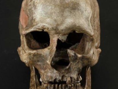 Cráneo del yacimiento de Dolnte Vestonice, en la República Checa.