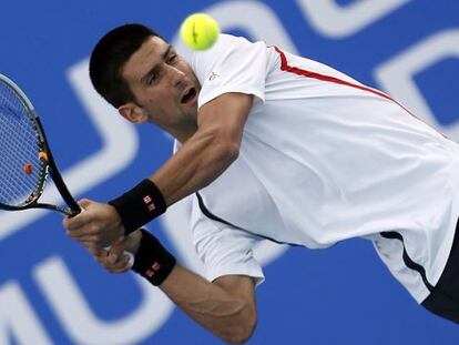Djokovic, en el partido contra Ferrer.