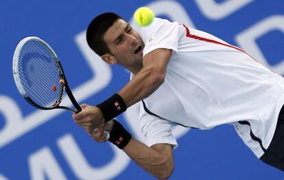 Djokovic, en el partido contra Ferrer.