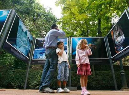 Visitantes en la exposición <i>Agua, </i>que puede verse en los bosques de la Alhambra de Granada.