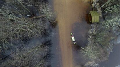 Una canoa atraviesa un bosque inundado en el Parque Nacional de Soomaa (Estonia).