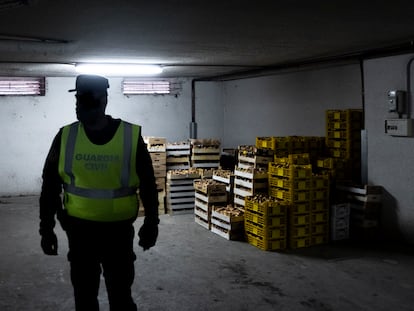 Un guardia civil en un garaje donde se incautaron 1.316 kilos de setas.