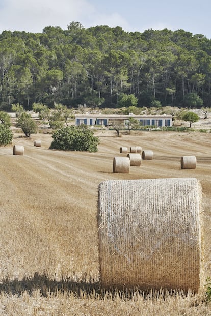 En el centro de la isla, las pacas de heno recogidas convierten el campo mallorquín en una pieza de land art.