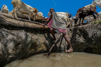 Una niña samburu va a buscar agua para el ganado; este grupo étnico del norte de Kenia es seminómada.