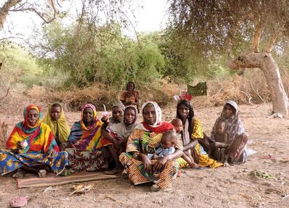 Otro de los grupos beneficiarios del proyecto en la región del Lago en Chad. Ahora el reto, acepta Mohamadou Mansour, representante de la FAO, es extender este tipo de proyectos a toda la población para multiplicar el número de beneficiarios. “Estas actuaciones fomentan el desarrollo y previenen las crisis alimentarias en lugar de solamente paliarlas”, defiende.