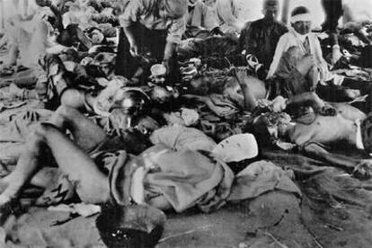 Los científicos aún tienen muchas dudas sobre los efectos que causó la exposición a las radiaciones.