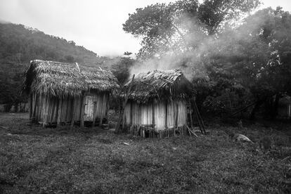 <p>En general, entre los más acosados se encuentran los guías naturalistas que trabajan en los parques nacionales. El país está sometido a una explotación salvaje de los recursos, y la tentación de sacrificar la tierra para obtener mejores comodidades cotidianas es muy alta.</p> <p>La <i>Ravenala madascarensis</i> es una planta endémica utilizada tradicionalmente para construir casas garantizando un impacto mínimo en el medio ambiente.</p>