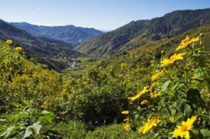 Un valle del parque nacional parque nacional del Monte Pulag, en Luzón.