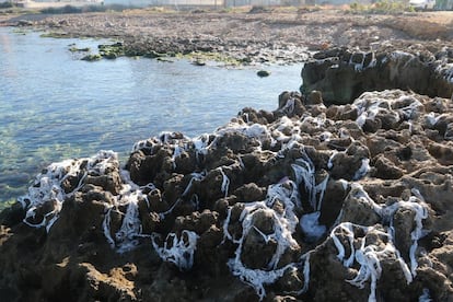 Imagen de la cala de Bou, en Ibiza, cubierta de toallitas húmedas.