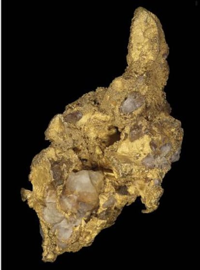 Pepita de oro con cuarzo. 135 gramos y 6,7 centímetros de longitud. Hallada en Casas de Don Pedro–Talarrubias (Badajoz). Colección Rivas-Sanabria.