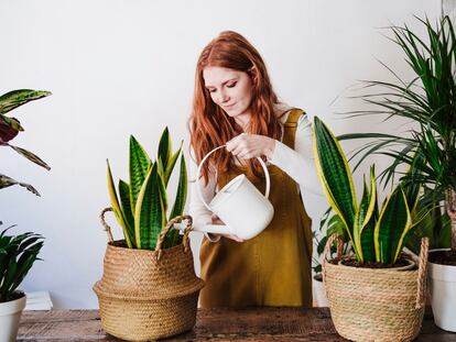 Incorporan asas ergonómicas que permiten mover las macetas con facilidad. GETTY IMAGES.