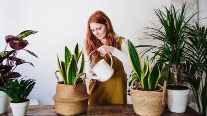 Incorporan asas ergonómicas que permiten mover las macetas con facilidad. GETTY IMAGES.