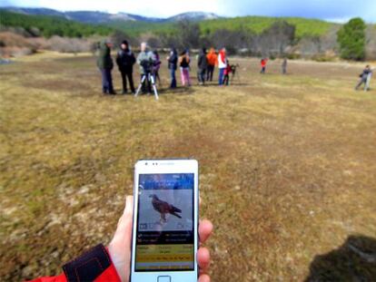 La aplicaci&oacute;n gratuita &#039;Gu&iacute;a de las aves e itinerarios ornitol&oacute;gicos de Espa&ntilde;a&#039;.