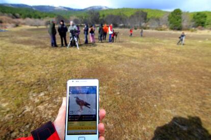 La aplicaci&oacute;n gratuita &#039;Gu&iacute;a de las aves e itinerarios ornitol&oacute;gicos de Espa&ntilde;a&#039;.