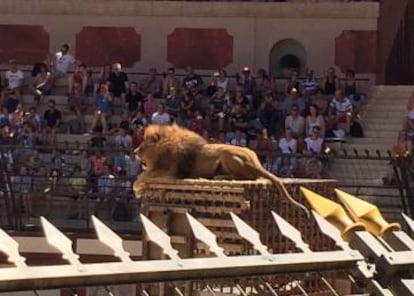 León en el circo romano del parque temático de Puy du Fou.