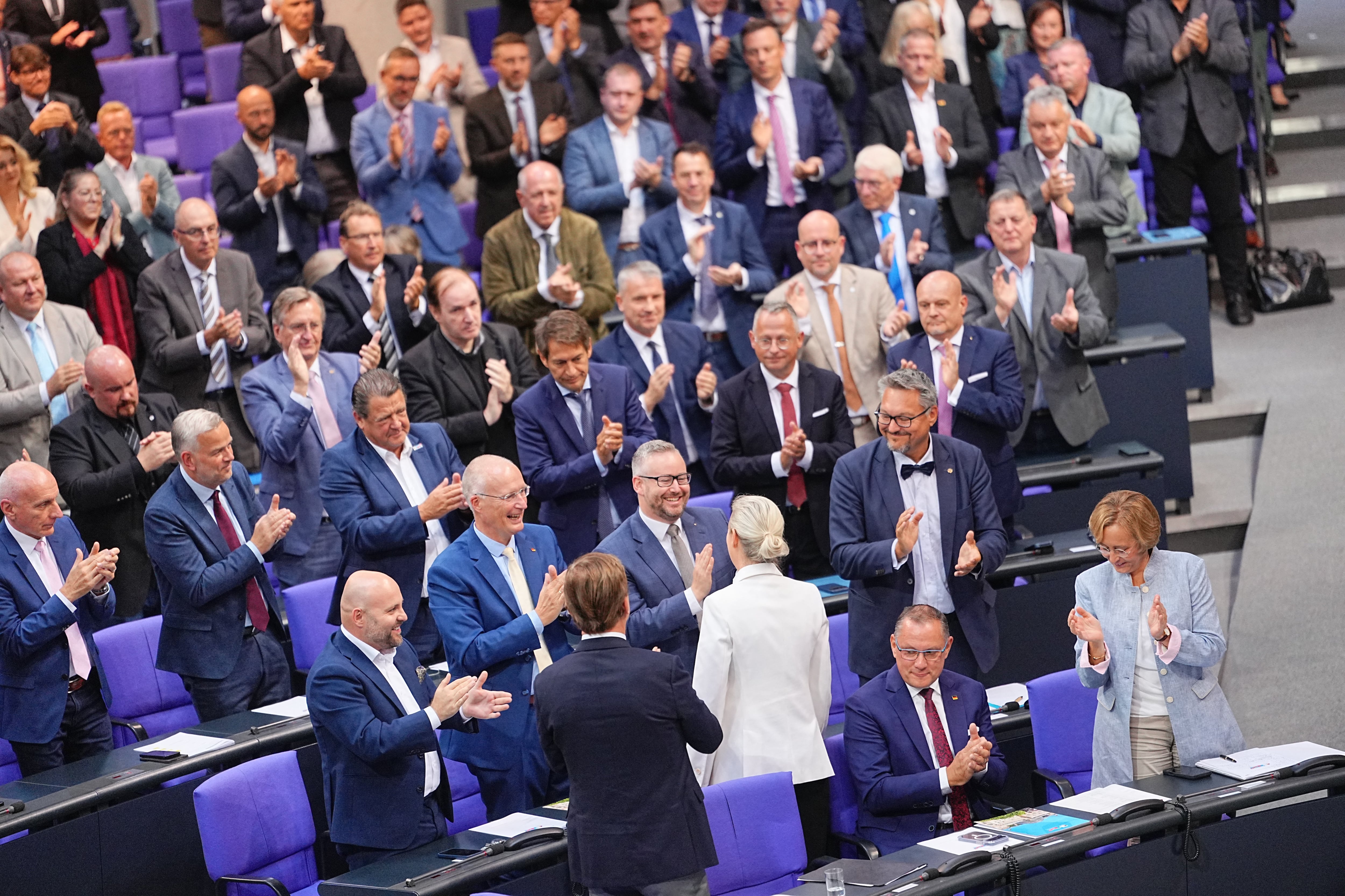 ¿Qué hace de AfD una amenaza para la democracia en Alemania?