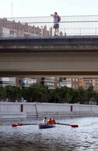 Remeros en el Manzanares.