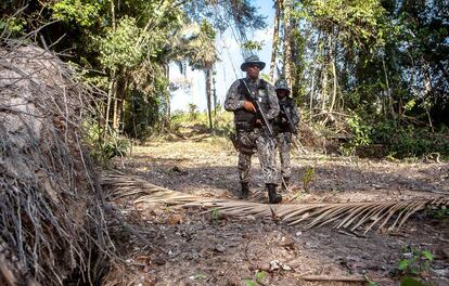 Agentes da Força Nacional buscam as pessoas que derrubam árvores numa área protegida da Amazônia.