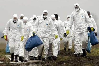 Soldados alemanes durante las tareas de recogida de aves muertas en Rügen, el pasado día 21.