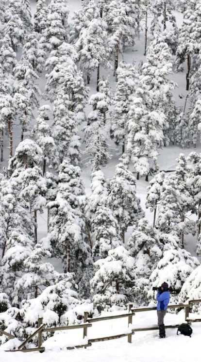 Paisaje nevado de la sierra de Madrid, el pasado enero.