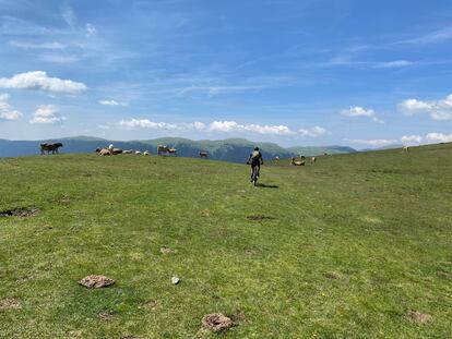 En plena Cerdanya, un participante de la Transpyr a punto de iniciar el largo descenso a meta.