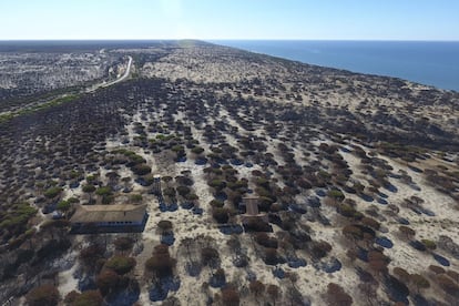 La gran incertidumbre es cómo será el año hidrológico. Eso marca la regeneración, que el otoño venga cargado de lluvias ayudará a que haya más brotes verdes y que los que hay prosperen.