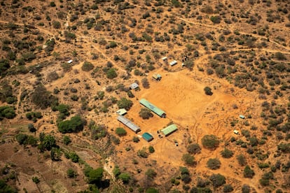 Locust plagues in Kenya