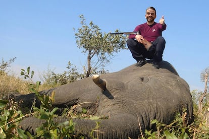 La mtica imagen del rey emrito junto al elefante que haba abatido durante una cacera en ?frica tambin forma parte de la 'campa?a' de Mayrit. | 