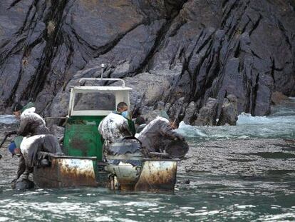 Voluntarios limpiando las costa de las Islas Cíes durante la catástrofe del Prestige 