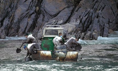 Voluntarios limpiando las costa de las Islas Cíes durante la catástrofe del Prestige 