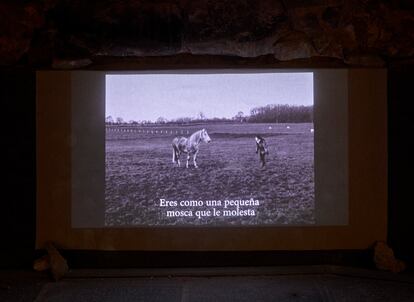 Fotograma de la obra de Marine Lahaix 'How to Break a Horse', que forma parte de la exposición 'Jardín de mixturas', de Alejandra Riera.
