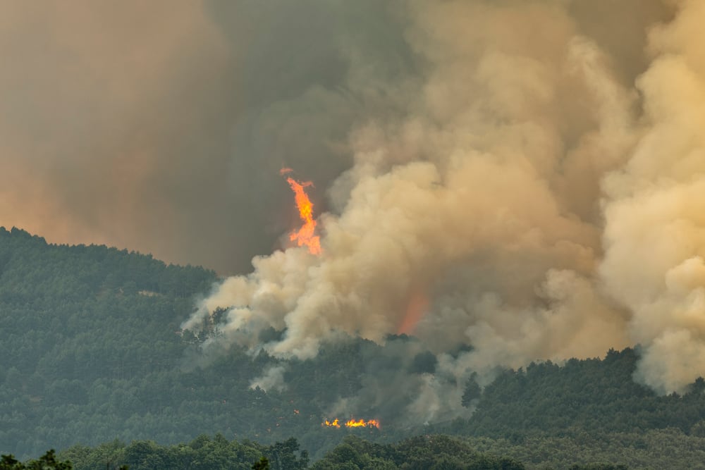 Vista del incendio del incendio de Jarilla (Extremadura), este domingo desde Hervás.