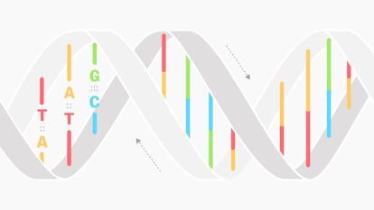 DNA: How the secret of life was discovered 70 years ago