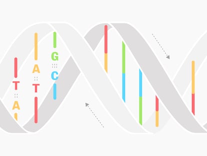 Así nació la doble hélice de ADN, el secreto de la vida que cumple 70 años