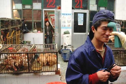 Un técnico toma la temperatura a un empleado en un mercado de aves chino.