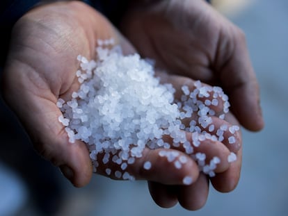 Unas manos sostenían 'pellets' llegados a la playa de O Grove, en Pontevedra, el jueves.