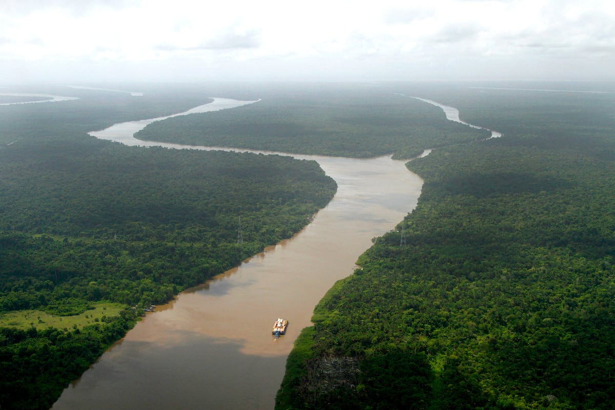 COP30 in the Amazon: Crucial summit or climate carnival?