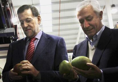 Rajoy y Arenas, en una cooperativa de Vélez Málaga.