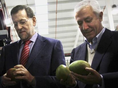 Rajoy y Arenas, en una cooperativa de V&eacute;lez M&aacute;laga.