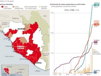 Fuentes: OMS, CDC y elaboración propia.